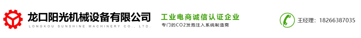 二氧化碳(CO2)发泡注入系统